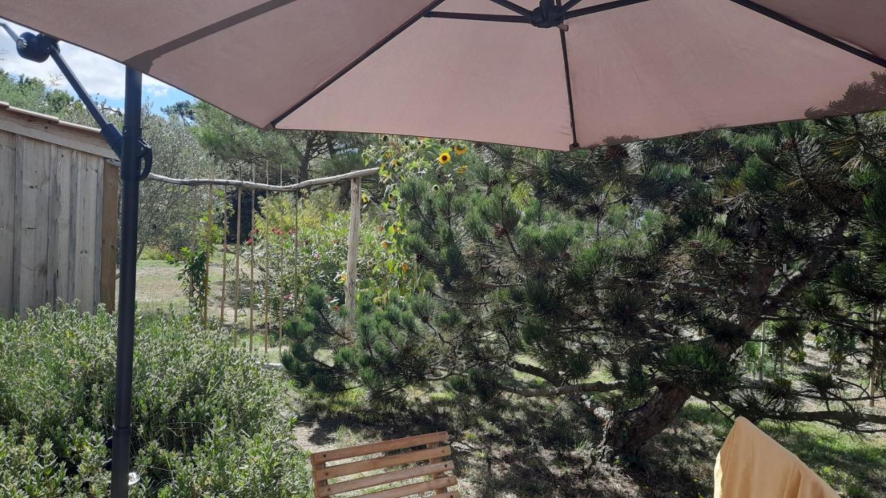 Le Grand Souffle Hotel Dolus d'Oléron Kültér fotó